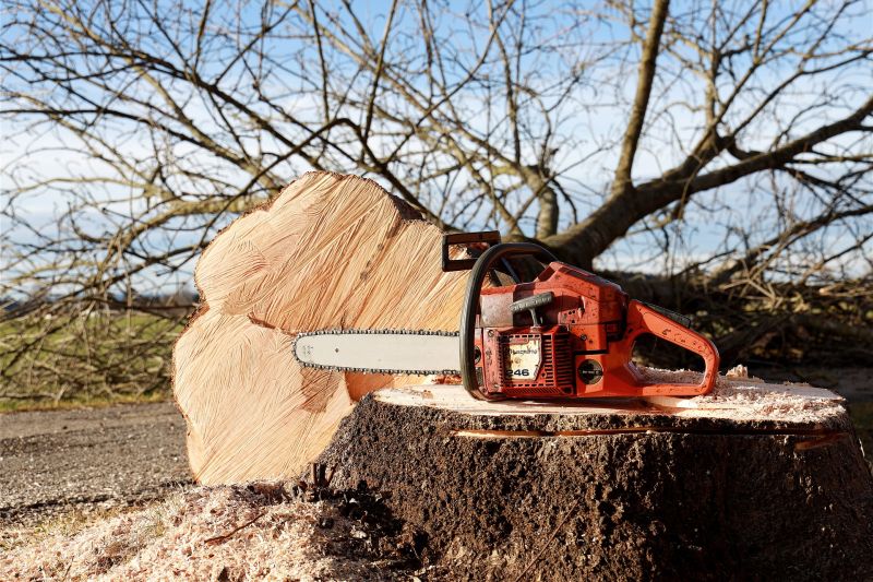 chainsaw-g0143f22a1_1920.jpg